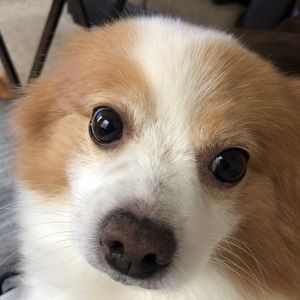 Meet your Posher, Sergio